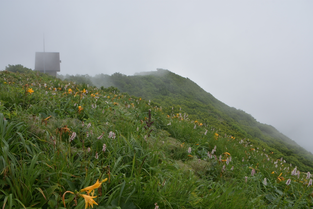 f:id:greenpeak-guide:20200831004219j:plain