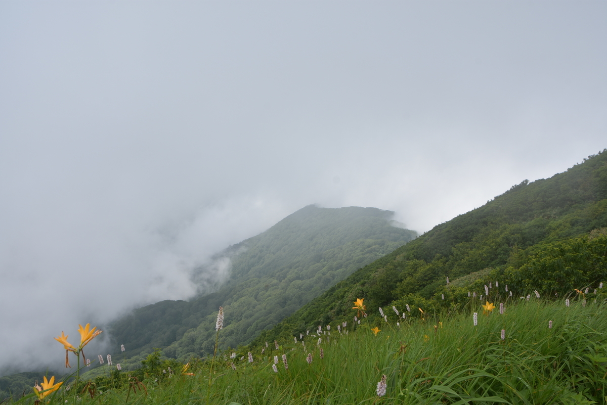 f:id:greenpeak-guide:20200831004326j:plain