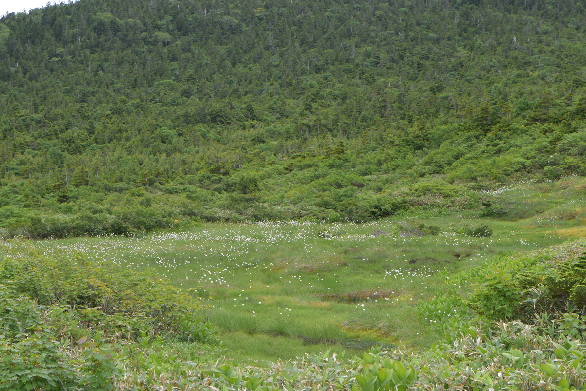 f:id:greenpeak-guide:20200920223332j:plain