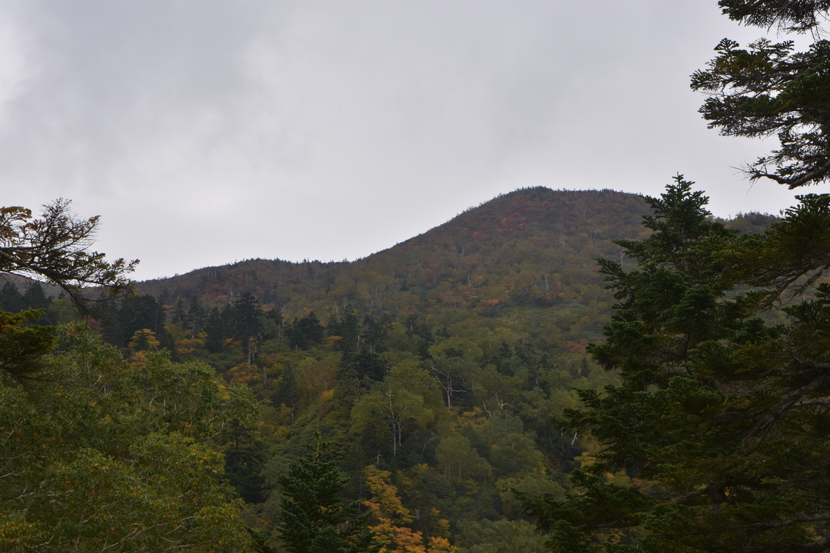 f:id:greenpeak-guide:20201018192854j:plain