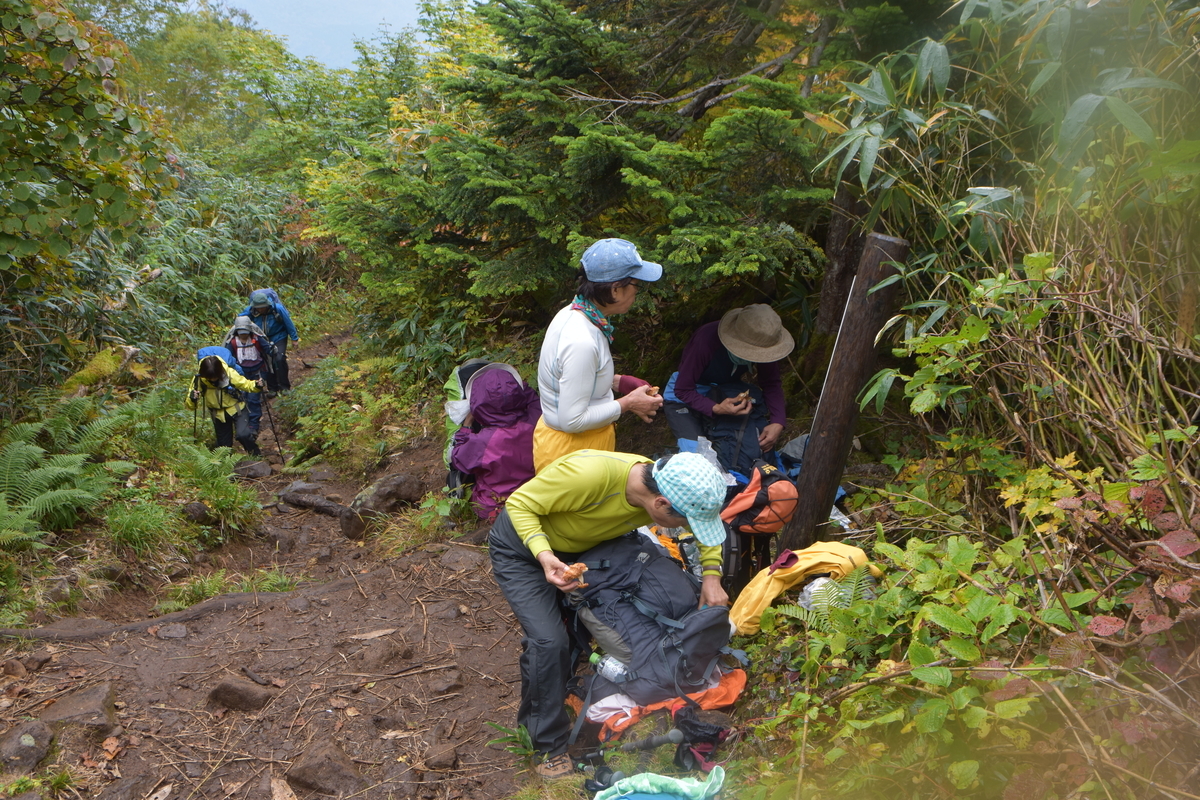 f:id:greenpeak-guide:20201018194030j:plain