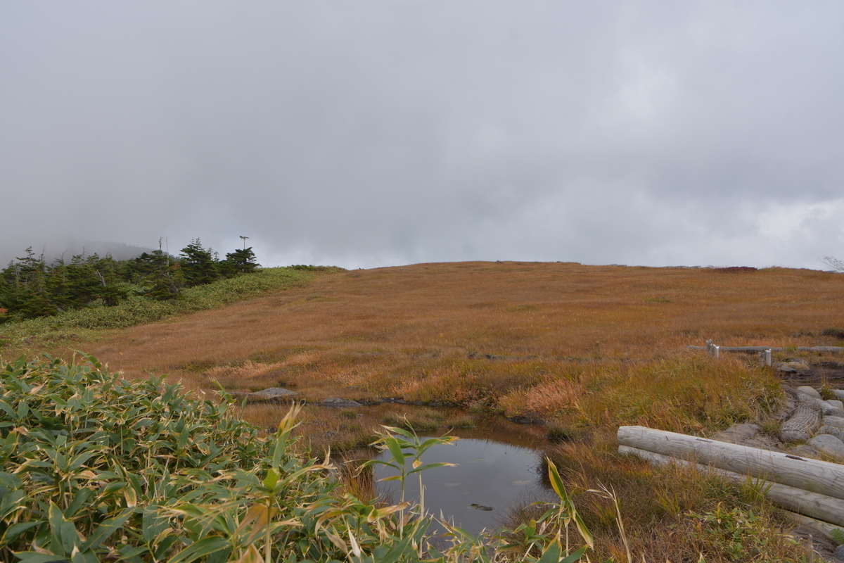 f:id:greenpeak-guide:20201018195255j:plain