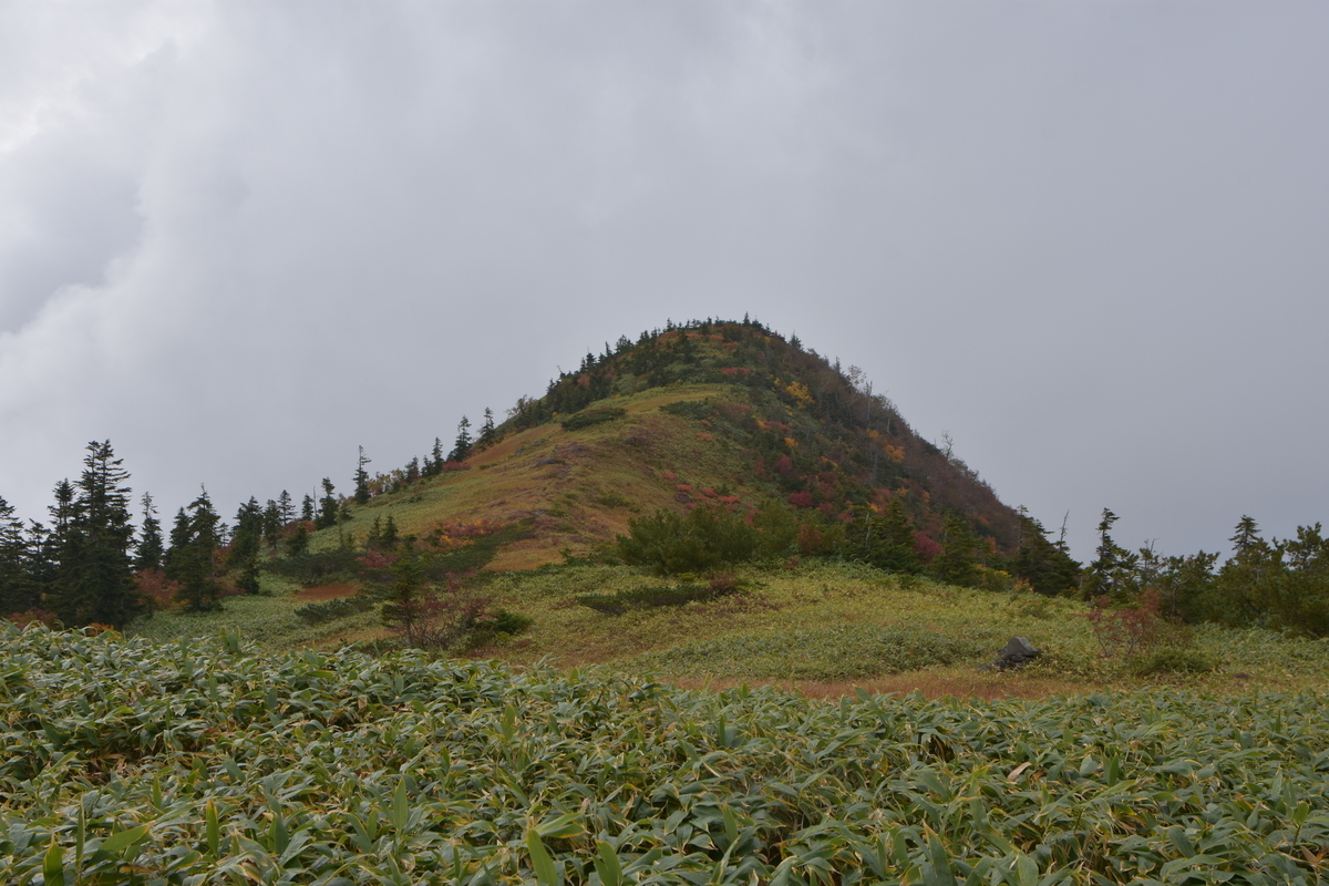 f:id:greenpeak-guide:20201018195503j:plain
