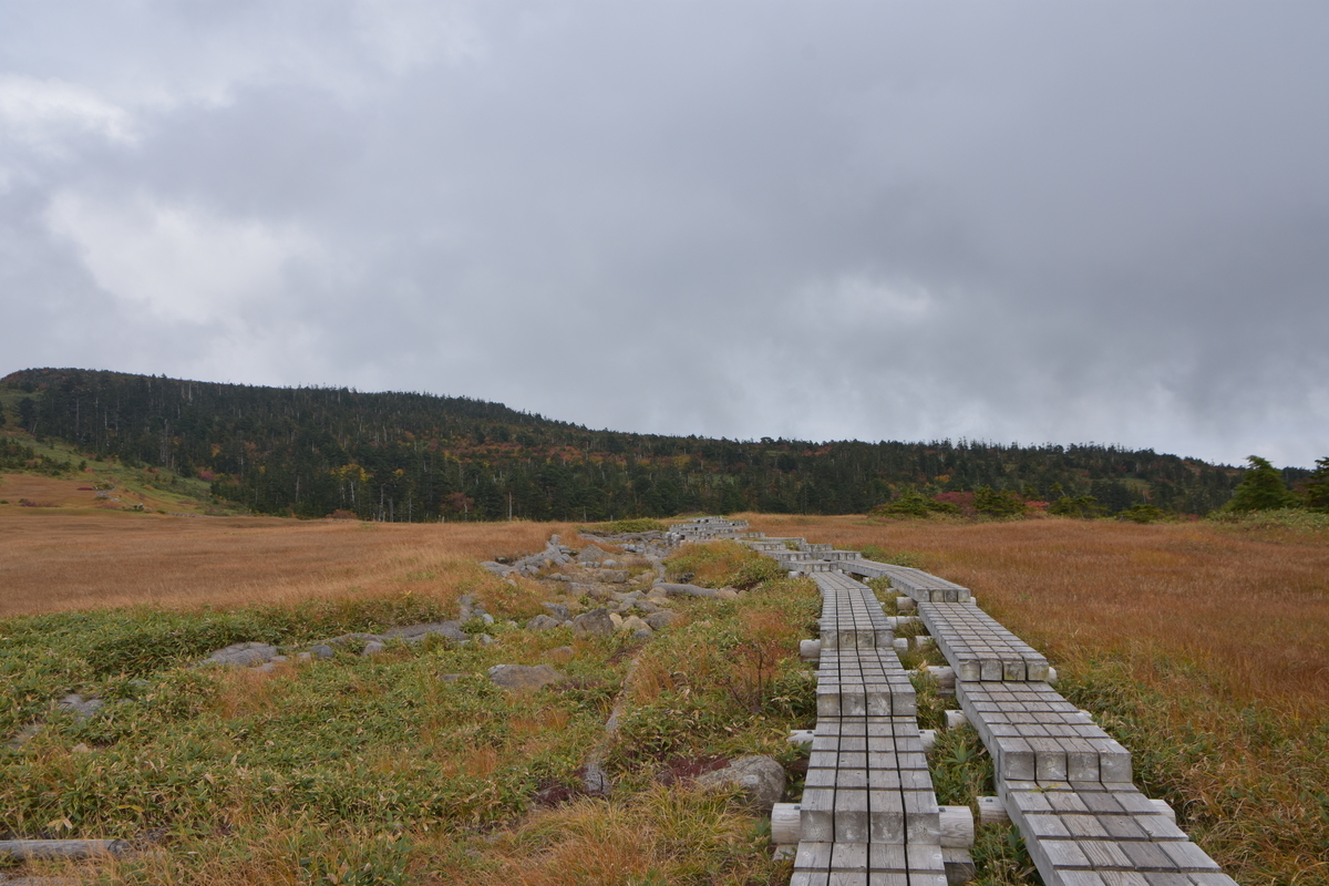 f:id:greenpeak-guide:20201018195657j:plain