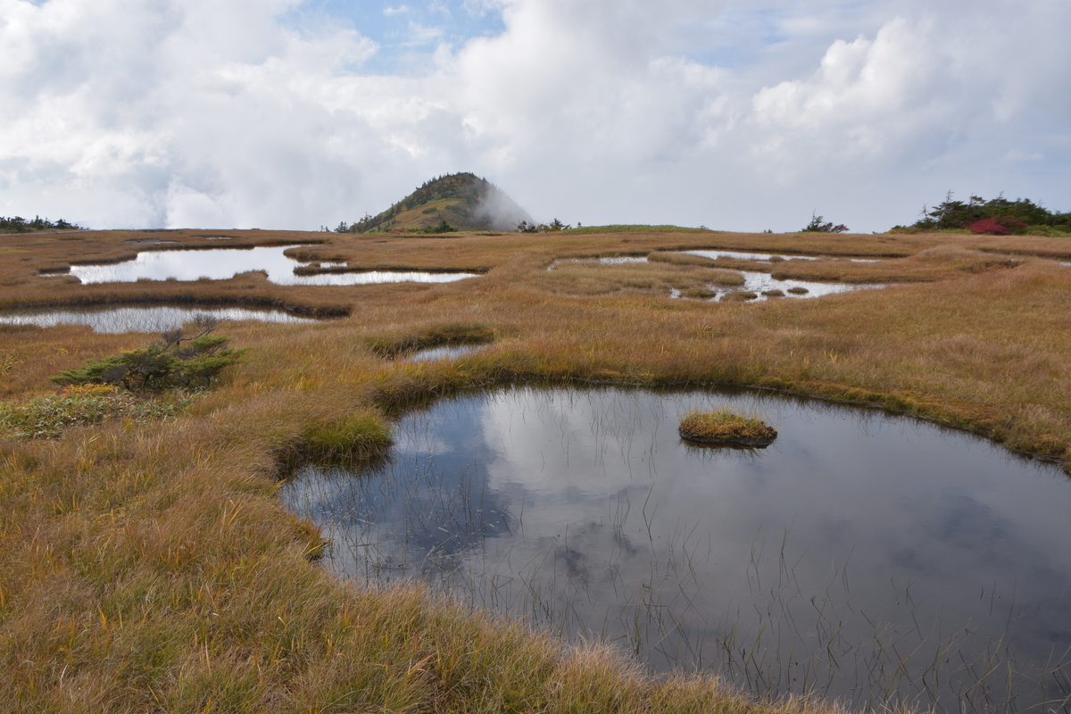 f:id:greenpeak-guide:20201018200325j:plain