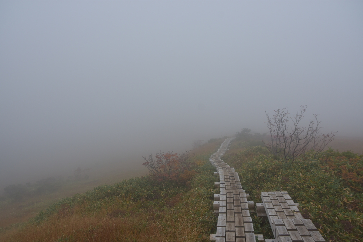 f:id:greenpeak-guide:20201018205250j:plain