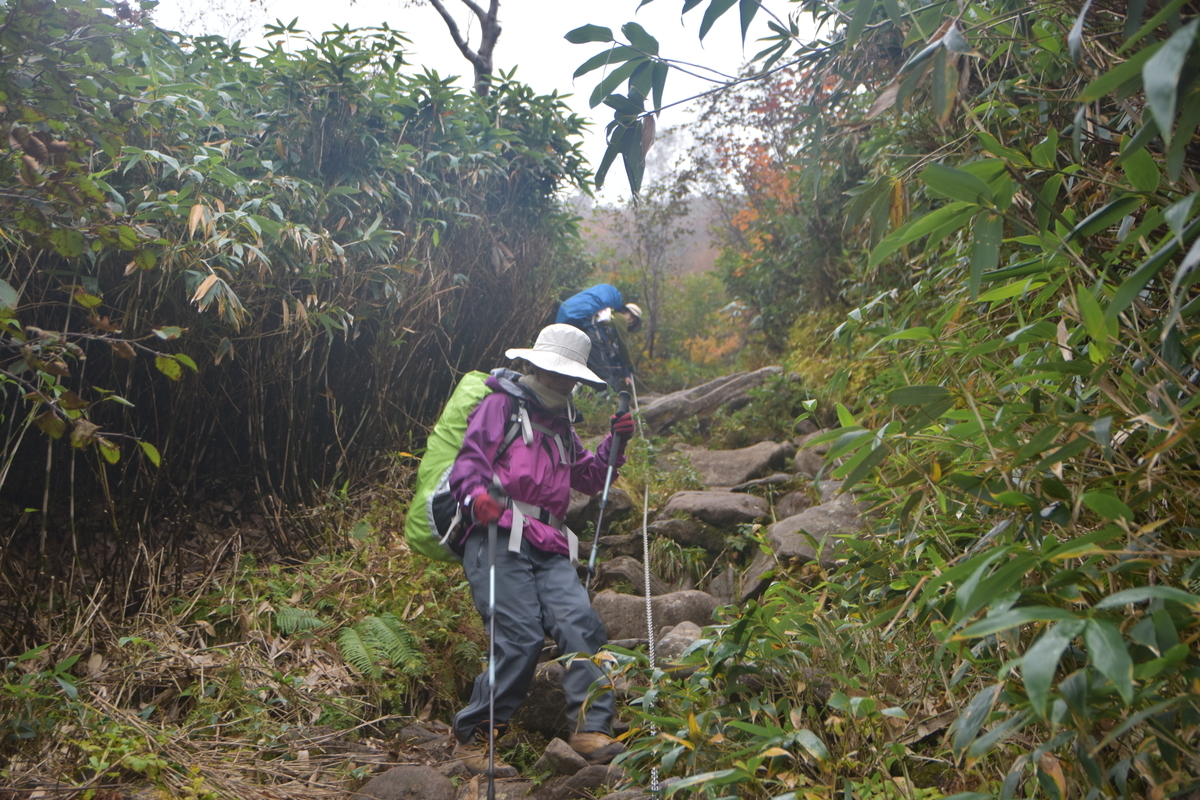 f:id:greenpeak-guide:20201018211228j:plain