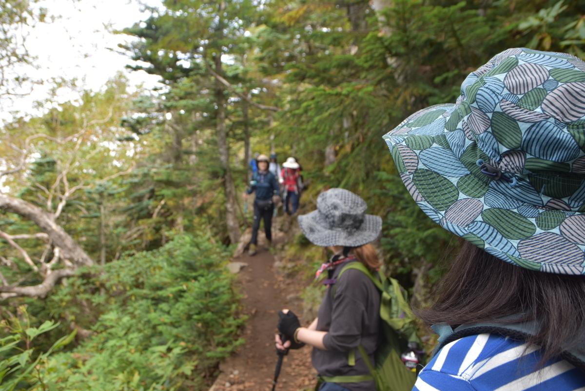 f:id:greenpeak-guide:20201228224521j:plain