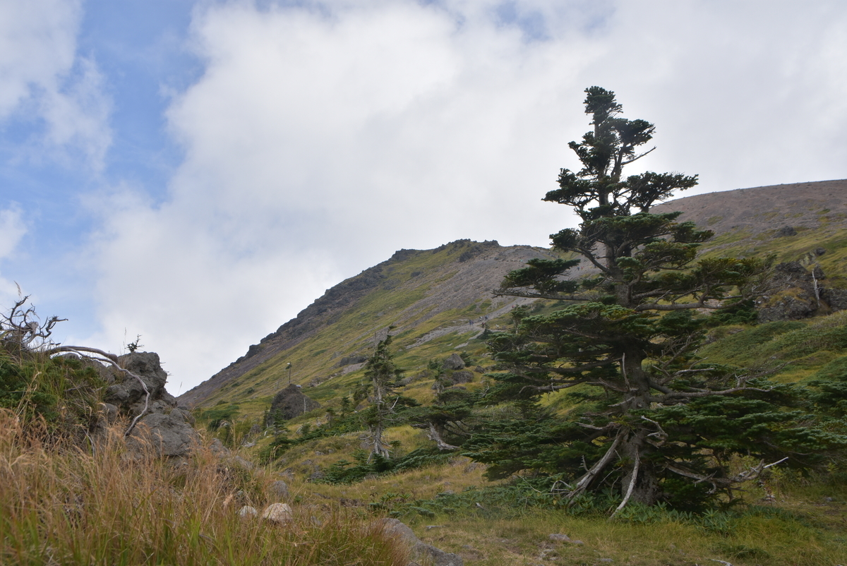 f:id:greenpeak-guide:20201228224657j:plain