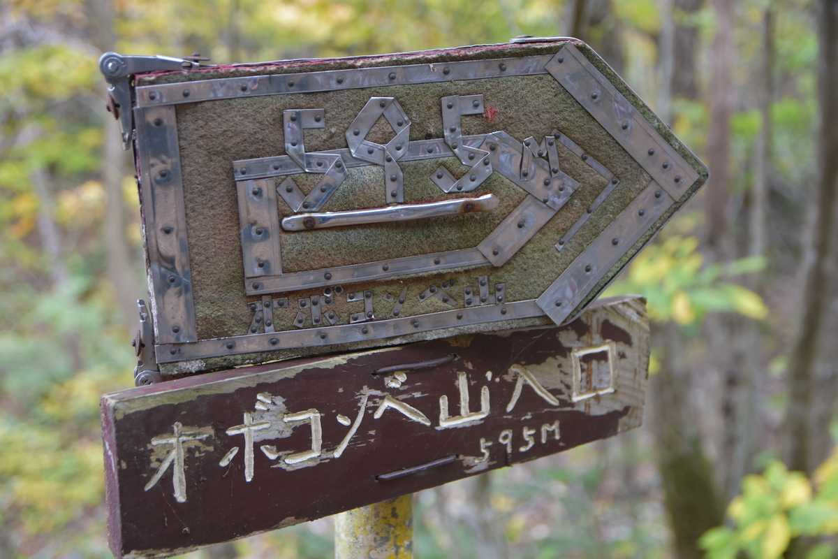 f:id:greenpeak-guide:20210416223515j:plain