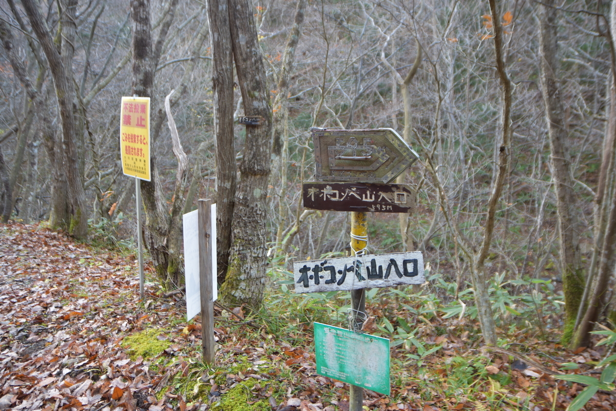 f:id:greenpeak-guide:20210416224000j:plain
