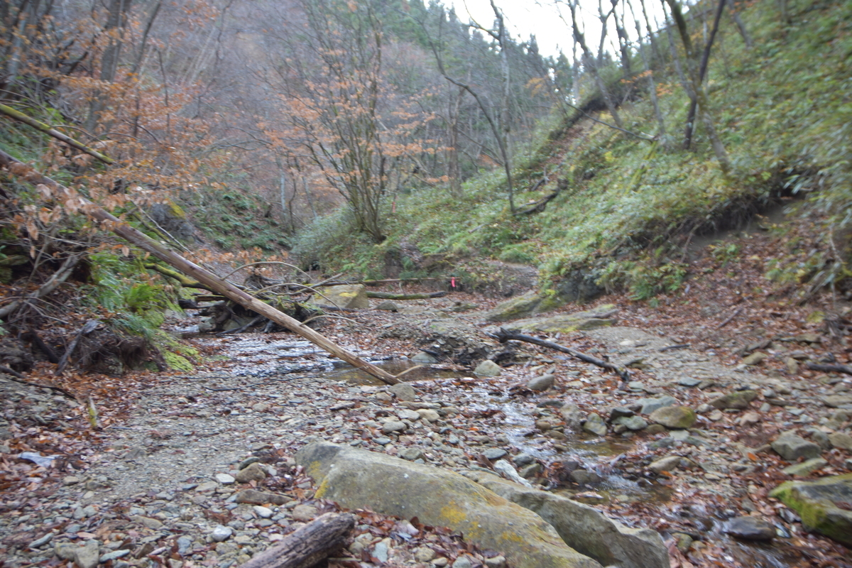 f:id:greenpeak-guide:20210416224022j:plain