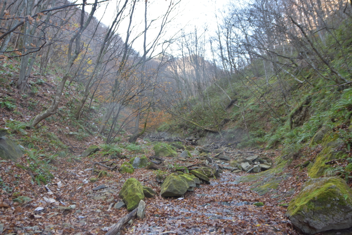 f:id:greenpeak-guide:20210416224422j:plain