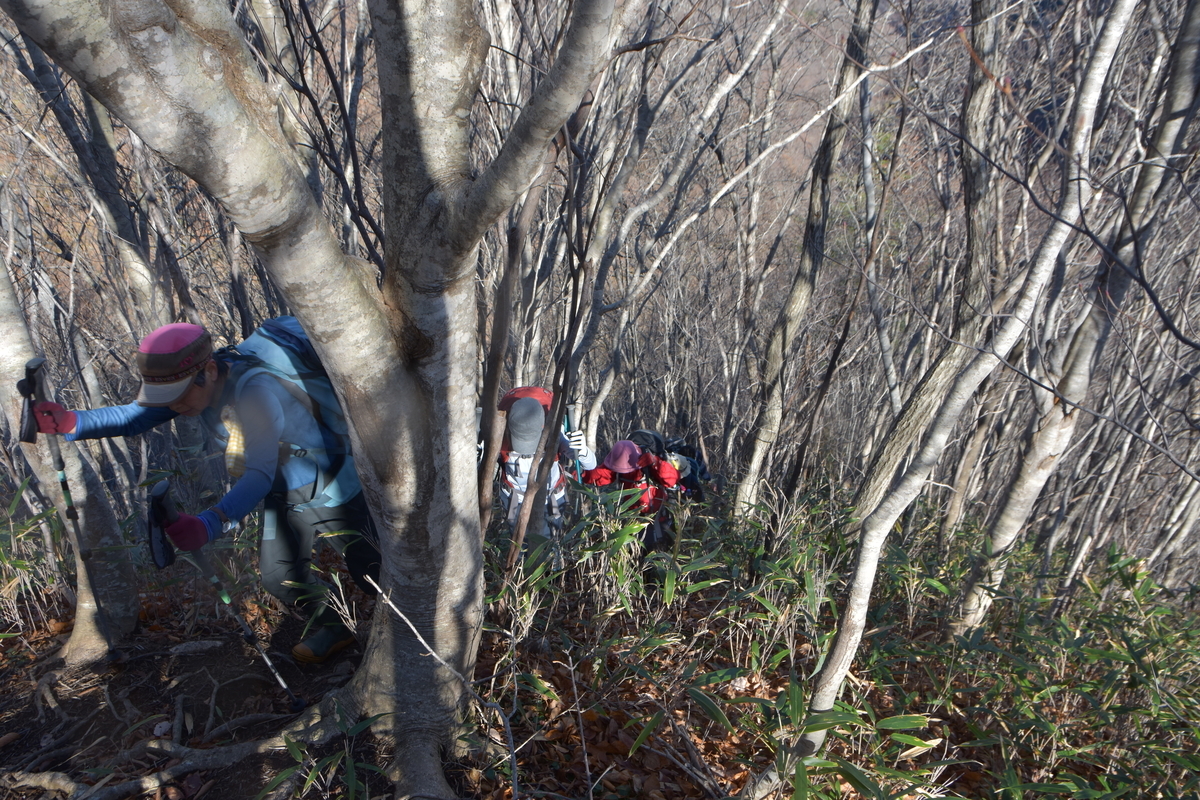 f:id:greenpeak-guide:20210416224524j:plain