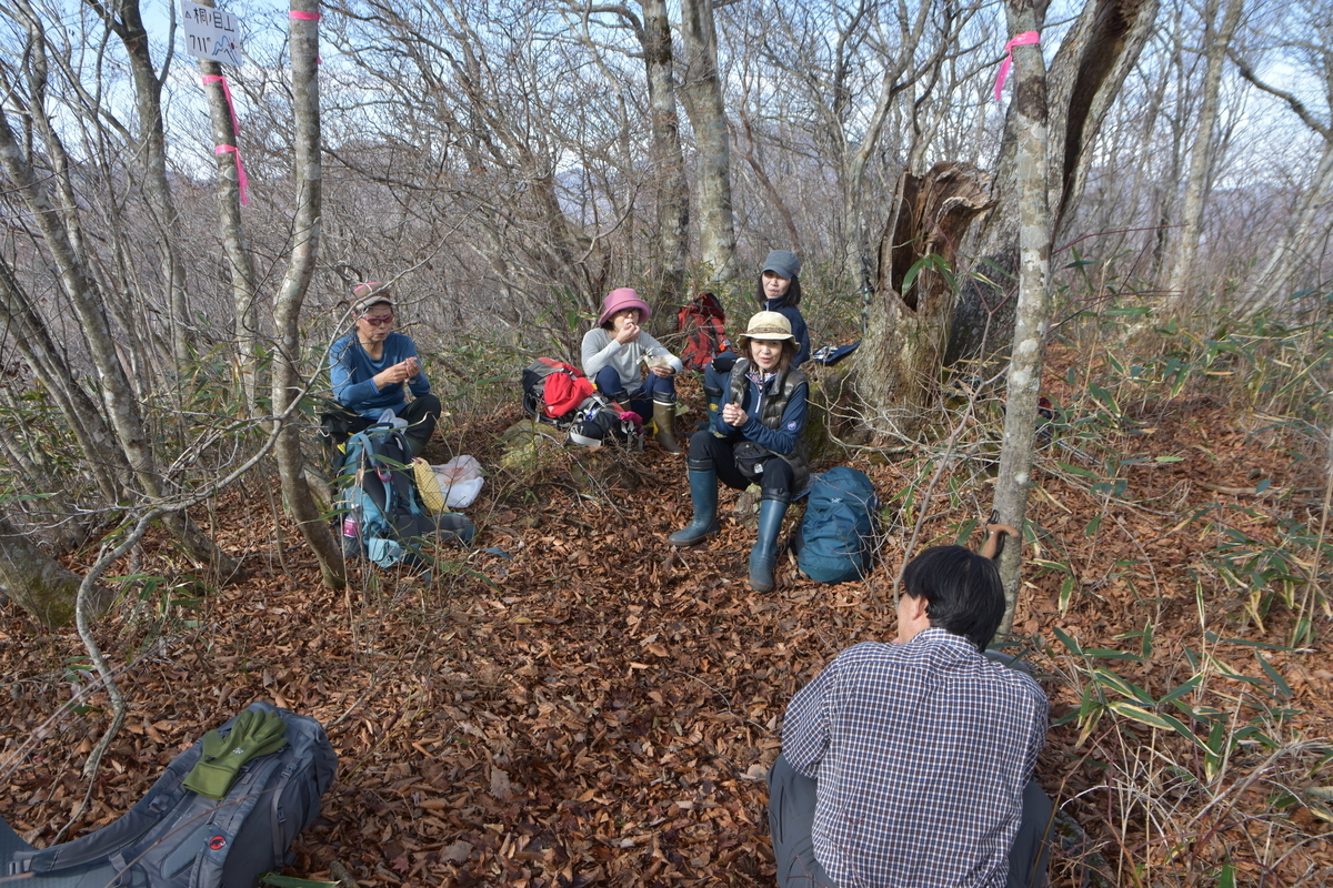f:id:greenpeak-guide:20210416230126j:plain