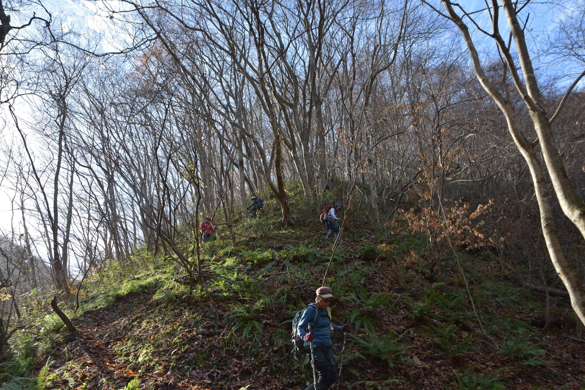 f:id:greenpeak-guide:20210416230158j:plain