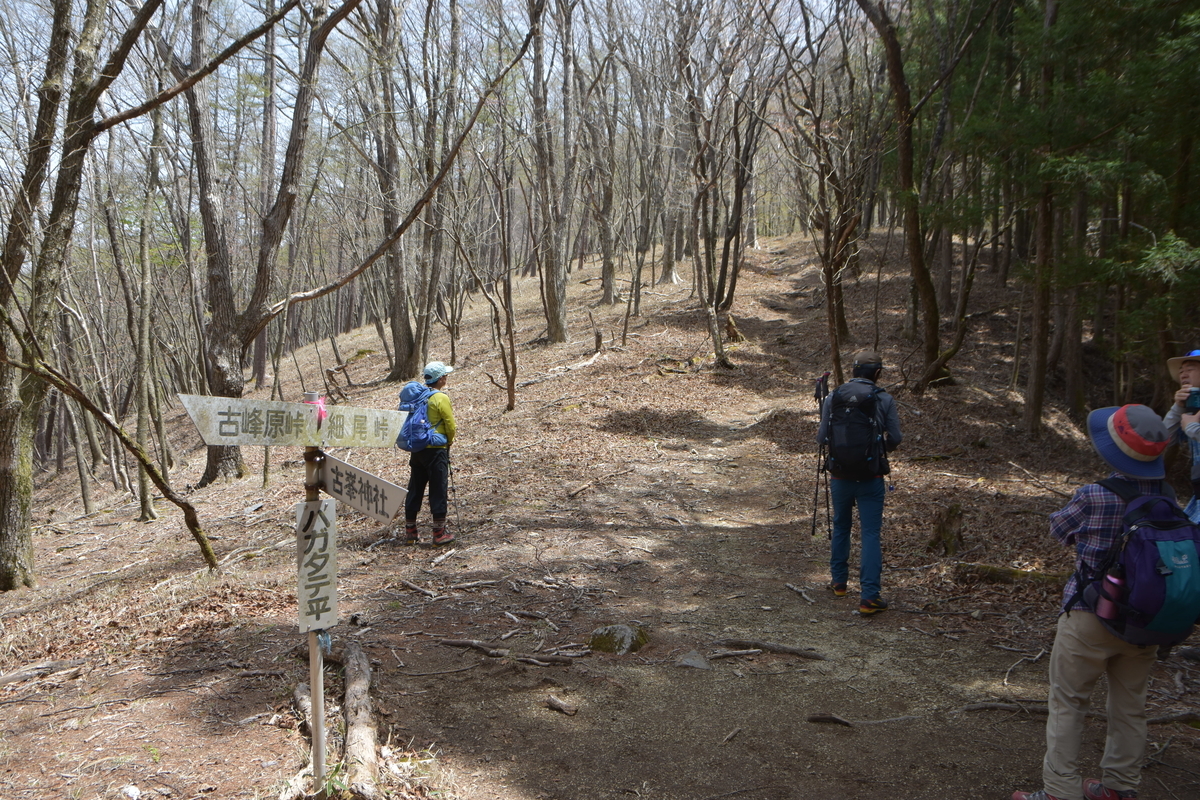 f:id:greenpeak-guide:20210608231155j:plain