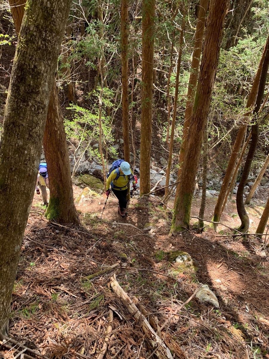 f:id:greenpeak-guide:20210608232315j:plain