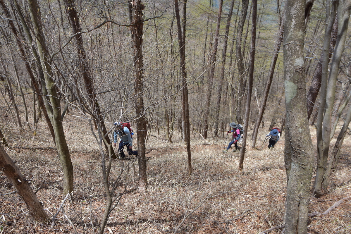 f:id:greenpeak-guide:20210608234746j:plain