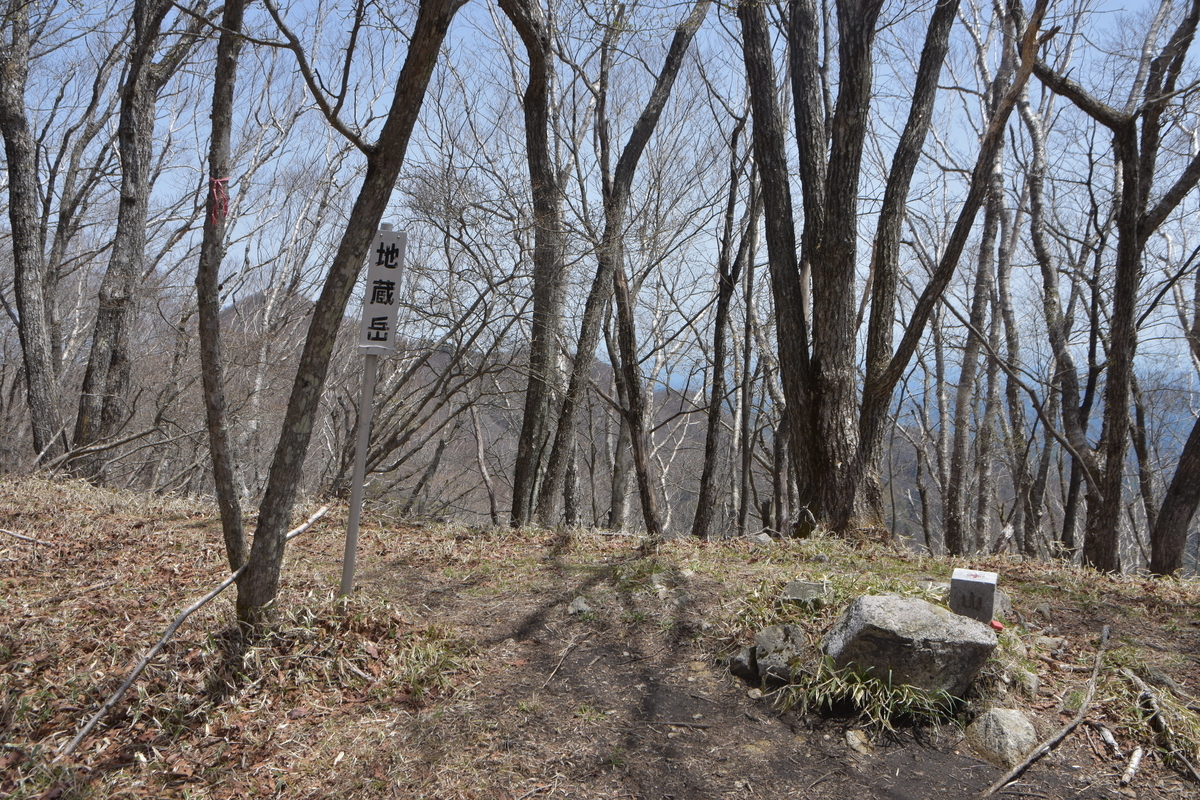 f:id:greenpeak-guide:20210608235052j:plain
