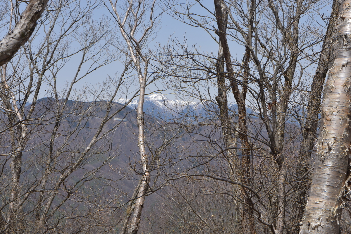 f:id:greenpeak-guide:20210608235420j:plain
