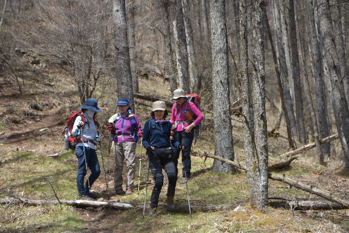 f:id:greenpeak-guide:20210609000353j:plain