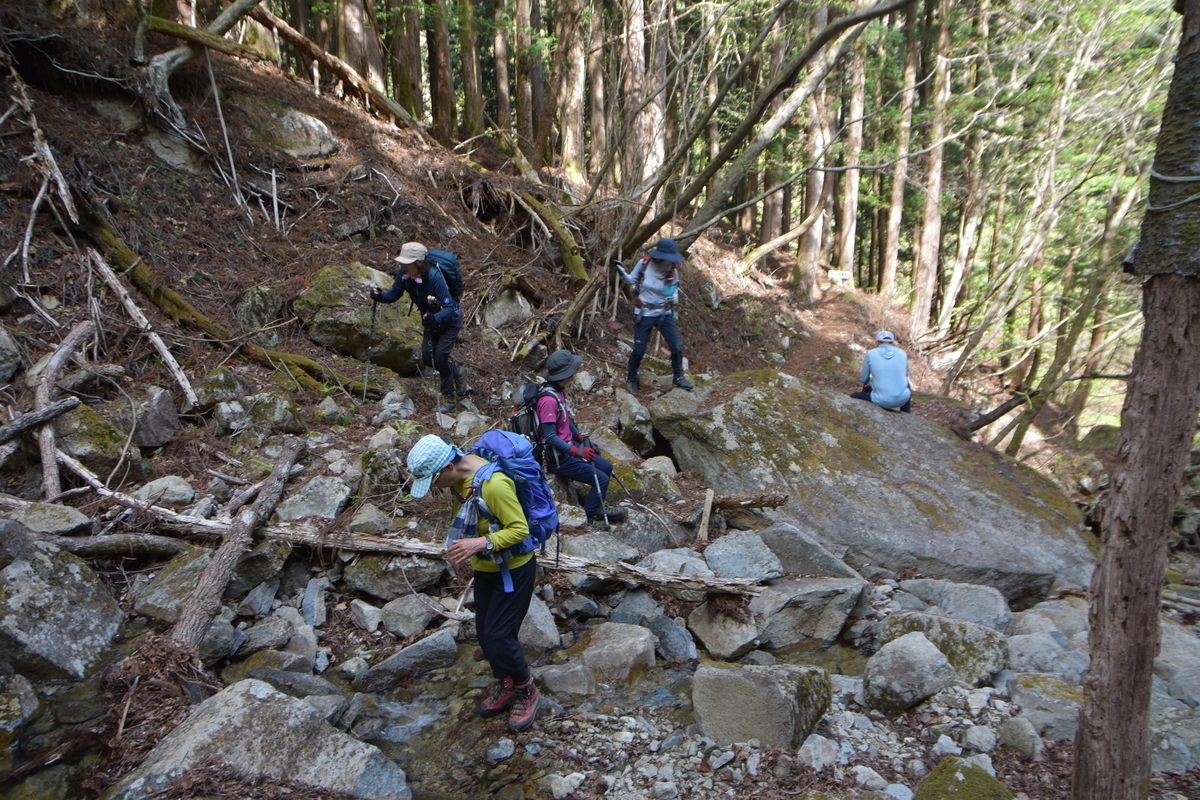 f:id:greenpeak-guide:20210609000825j:plain