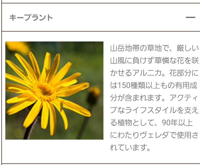 f:id:greenpink21:20201116193855j:image