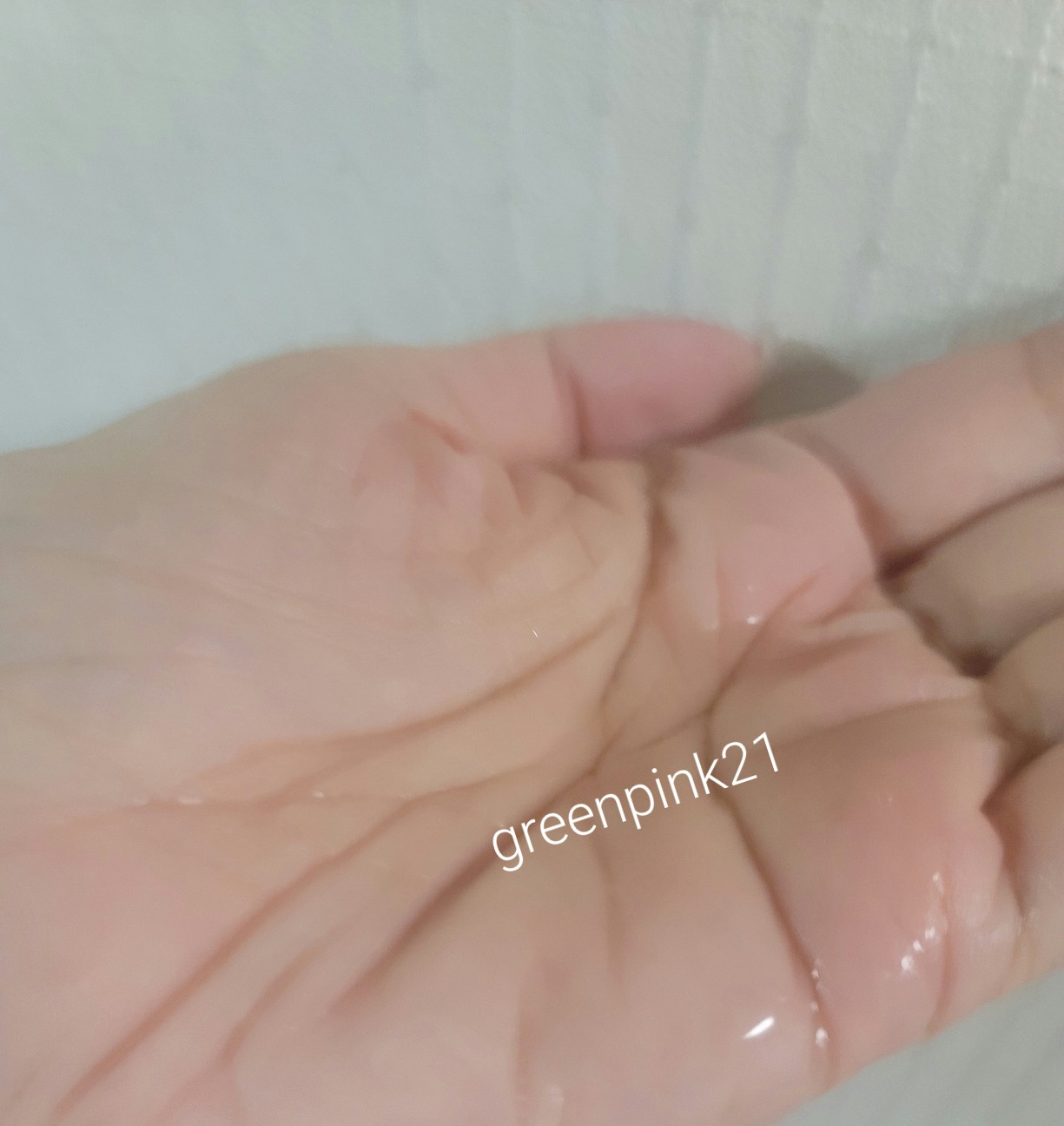 f:id:greenpink21:20240624223415j:image f:id:greenpink21:20240624223415j:image