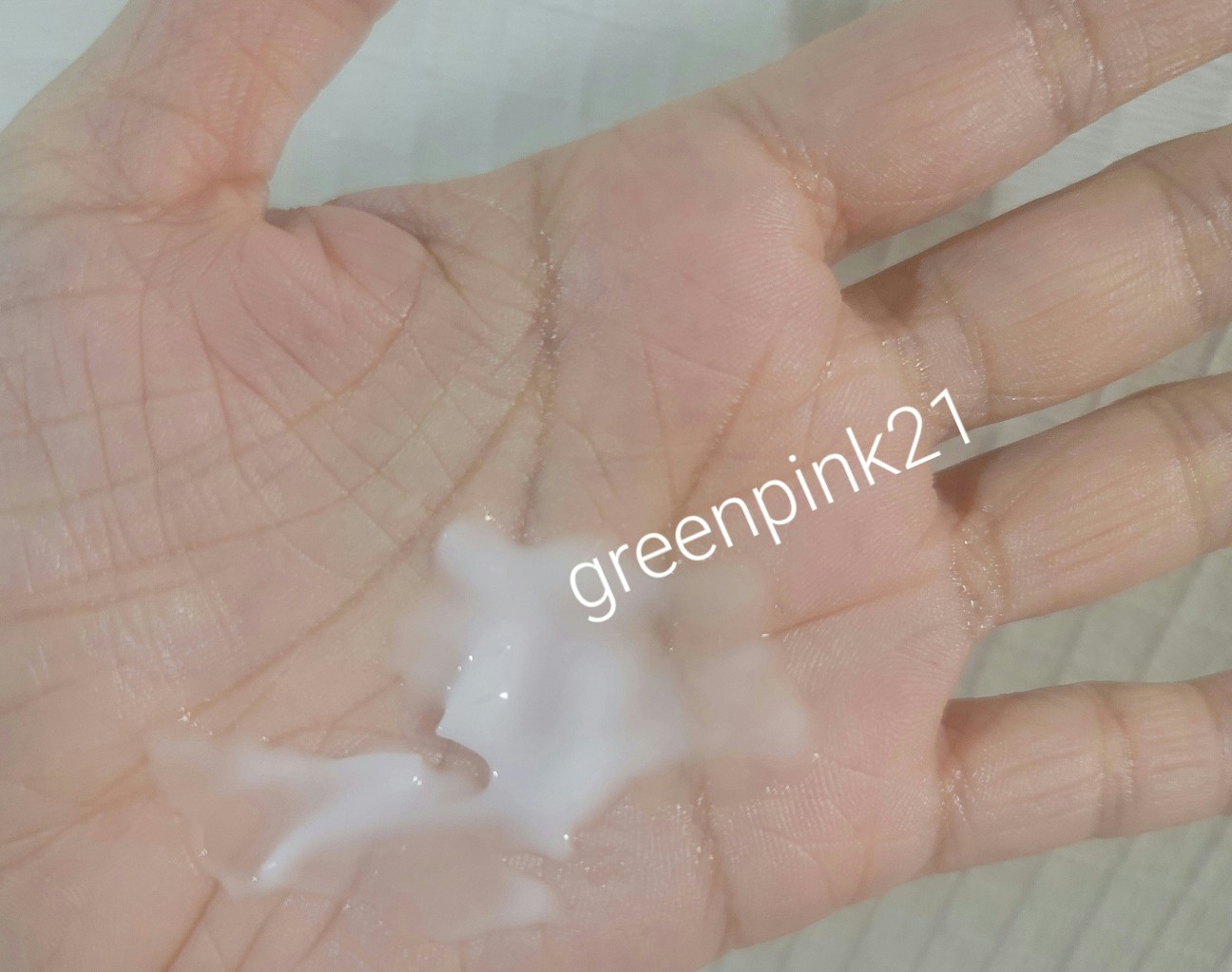 f:id:greenpink21:20240624225355j:image f:id:greenpink21:20240624225355j:image