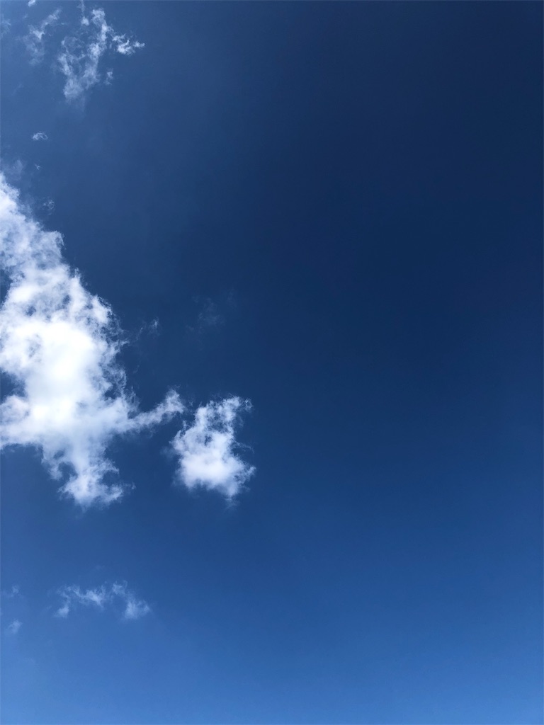 f:id:greenreaf73:20190123184957j:image f:id:greenreaf73:20190123184957j:image
