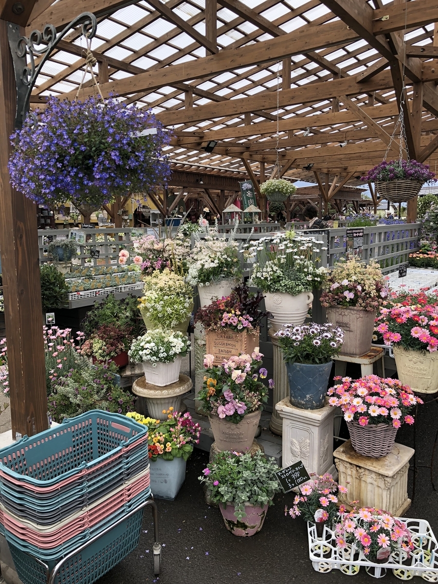 f:id:greenreaf73:20190318180046j:plain