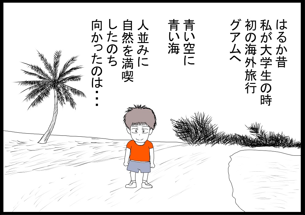f:id:greens60:20200210150855j:plain f:id:greens60:20200210150855j:plain