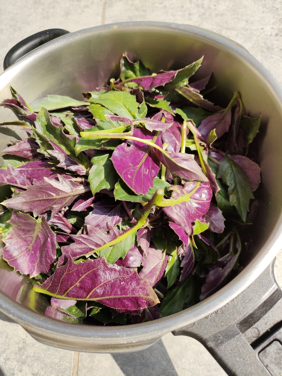 f:id:greensubmarine:20220314163321j:plain