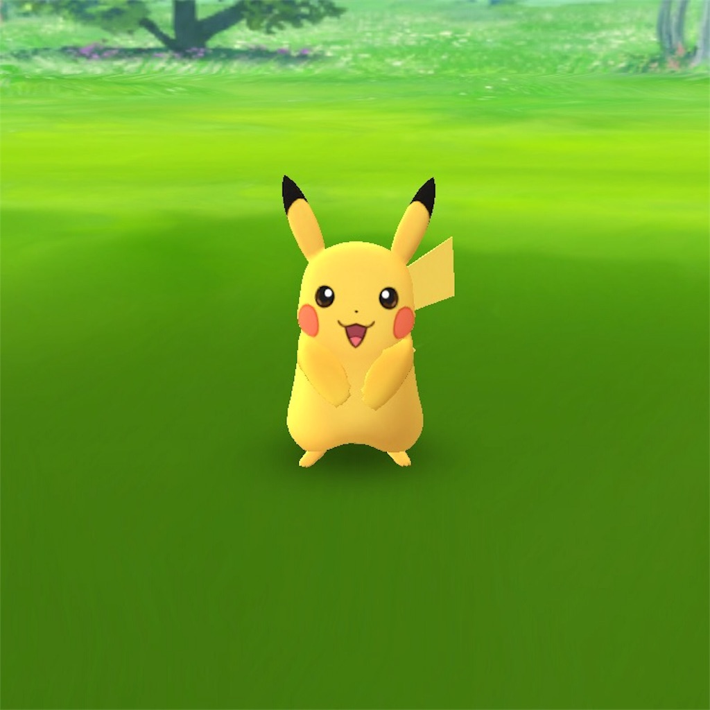 ピカチュウが好きすぎて〜ポケモンgoの話〜 - ちびっこロードスターライフ