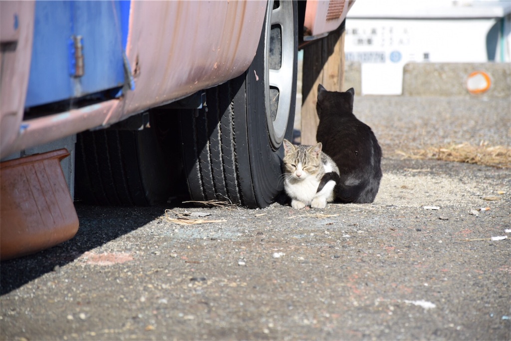 f:id:greentea-NA:20161129164853j:image f:id:greentea-NA:20161129164853j:image