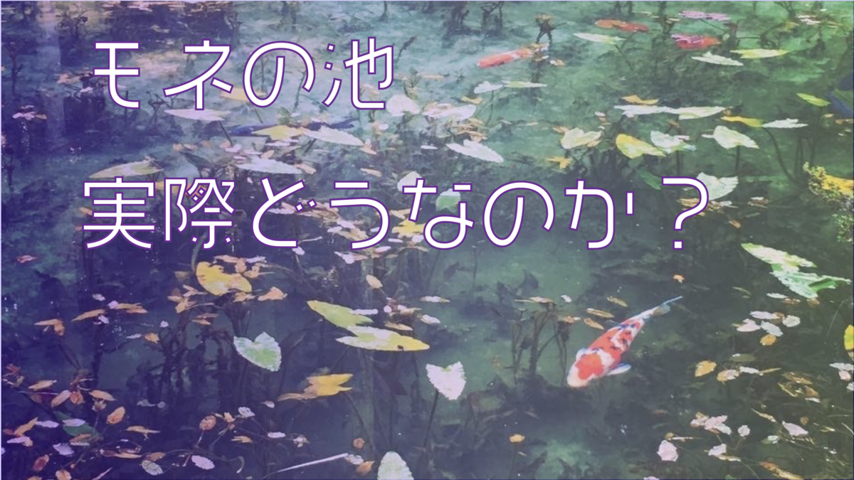 20220811082447.png
