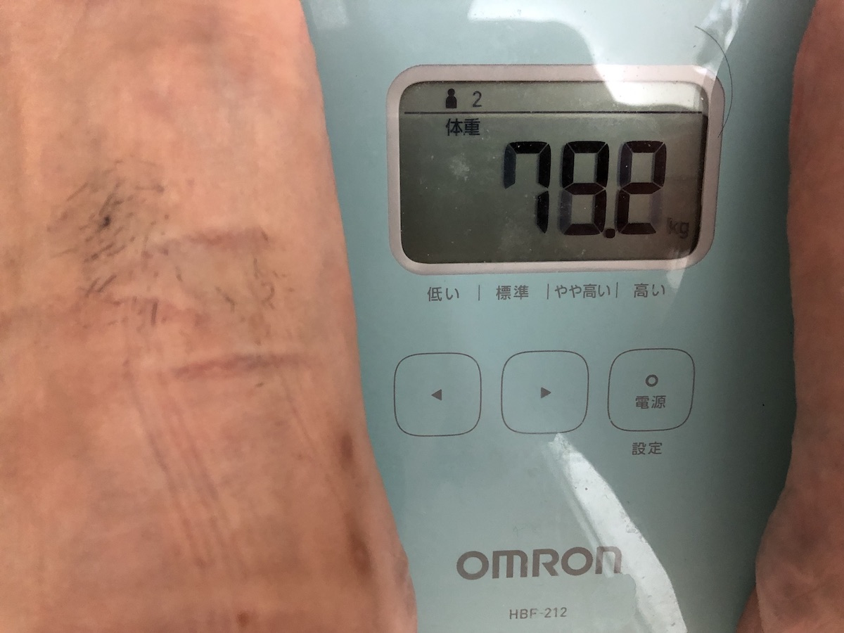 f:id:greentrade:20190627223856j:plain