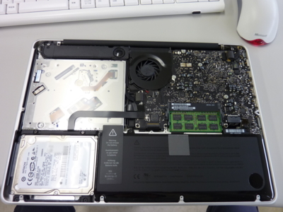 f:id:greenwakame:20100609113653j:image f:id:greenwakame:20100609113653j:image