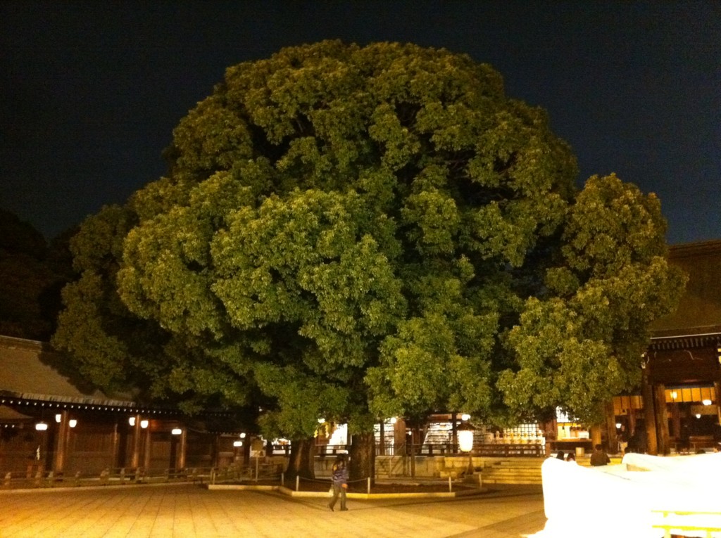 f:id:gregminster:20101031192255j:image