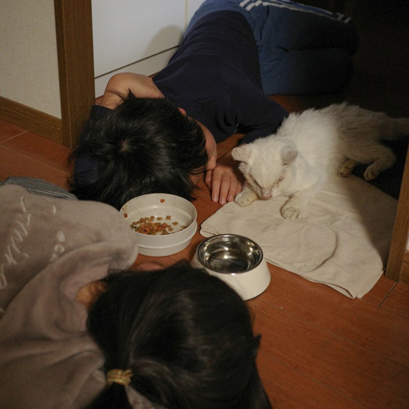 f:id:grfun:20211227135148j:plain