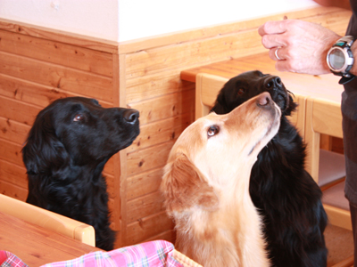 f:id:grgl:20090503085931j:image f:id:grgl:20090503085931j:image