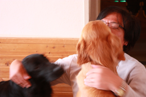 f:id:grgl:20090503101442j:image f:id:grgl:20090503101442j:image