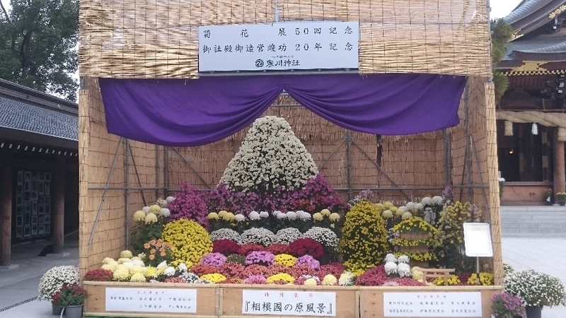イメージ 4