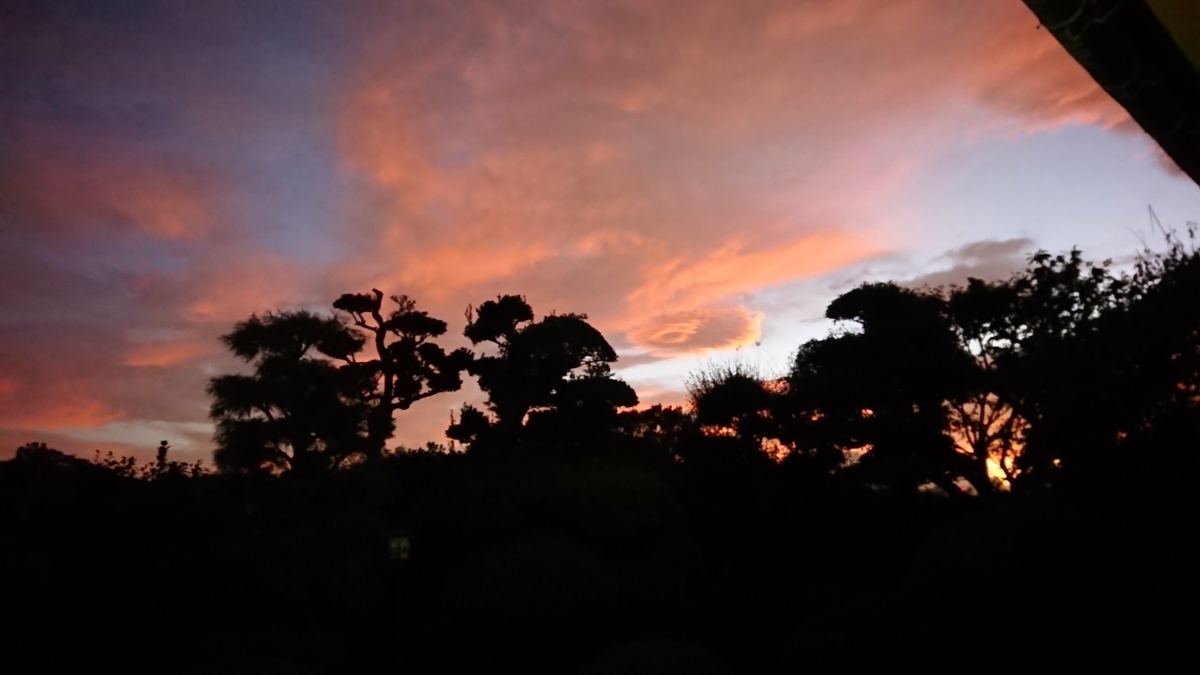 f:id:griffinavenue:20190924131451j:plain