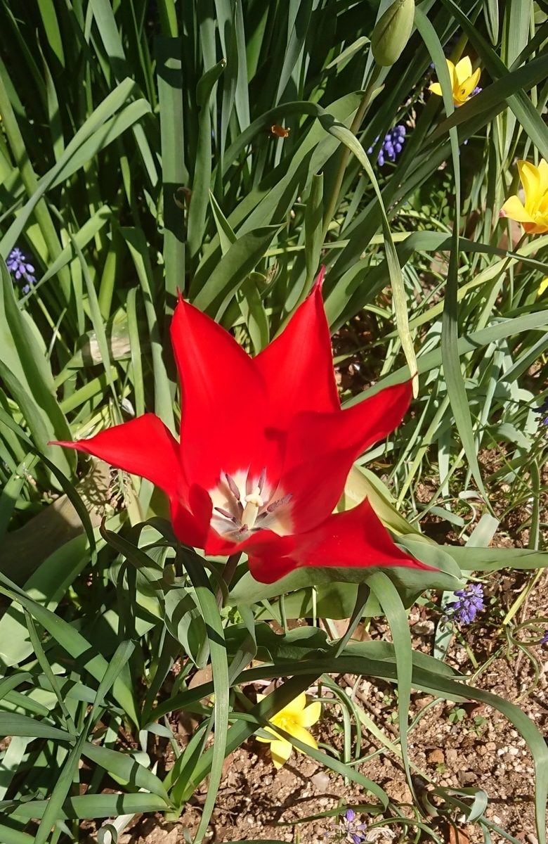 f:id:griffinavenue:20200414162937j:plain