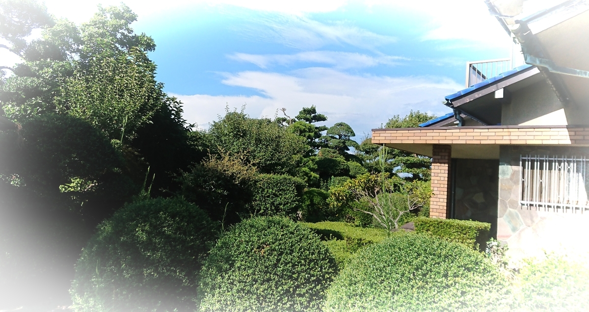 f:id:griffinavenue:20200908193818j:plain