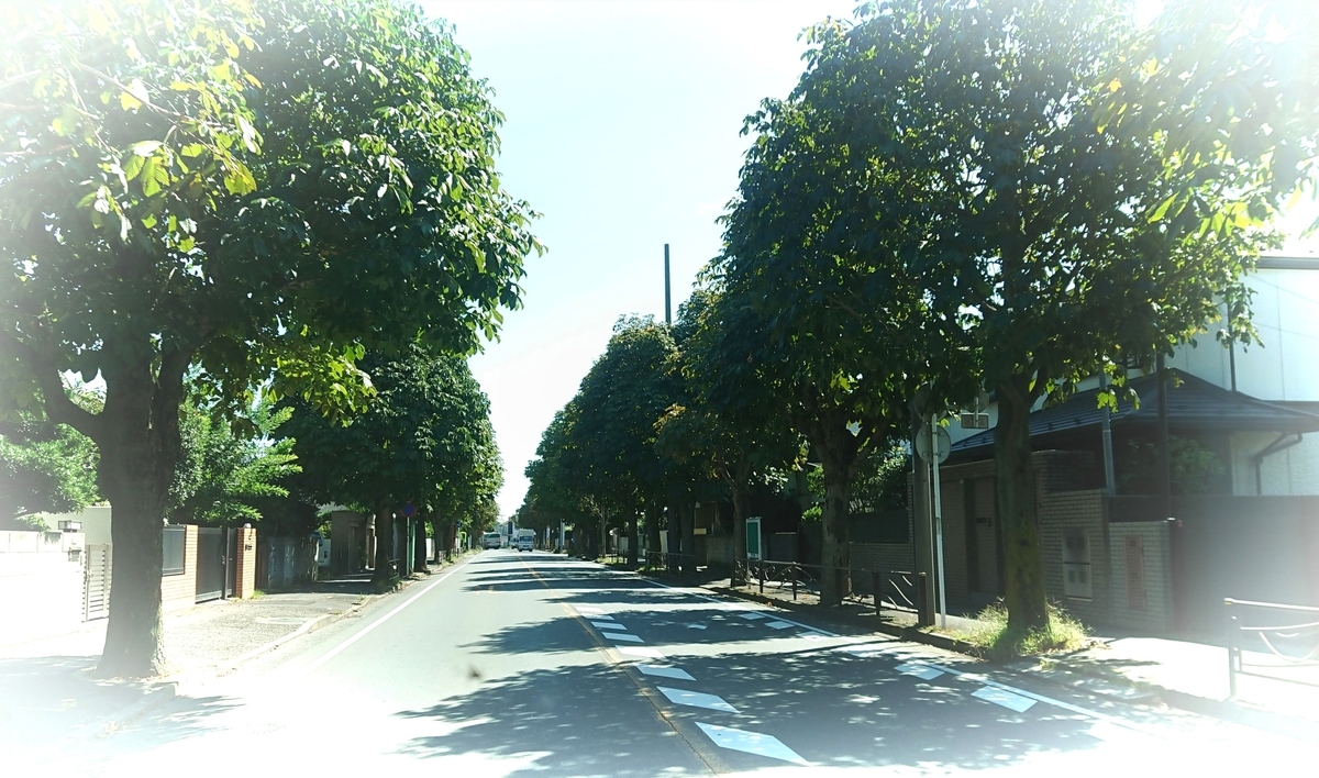 f:id:griffinavenue:20200930212205j:plain