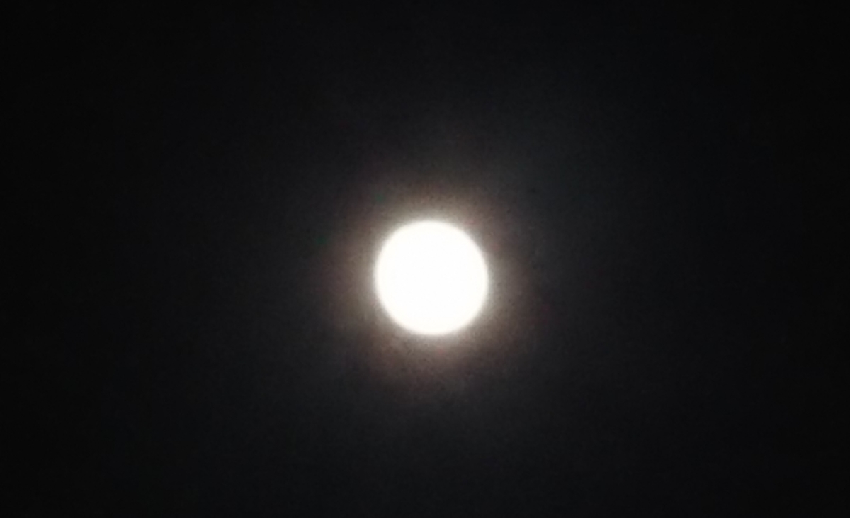 f:id:griffinavenue:20201001211611j:plain