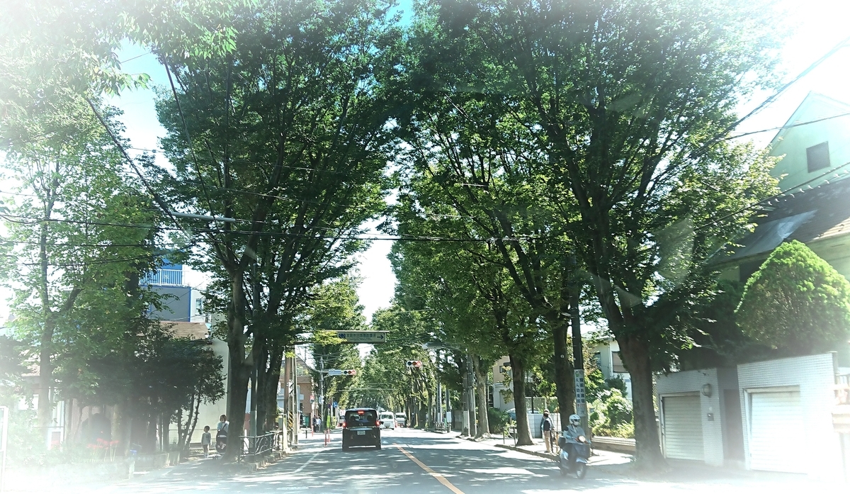 f:id:griffinavenue:20201005171759j:plain f:id:griffinavenue:20201005171759j:plain
